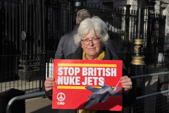 Hilary Evans - Movement for the Abolition of War