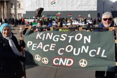 Kingston-Peace-Council-at-25-feb-demo-1