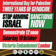 'International Day for Palestine: Three years of genocide' - national demonstration